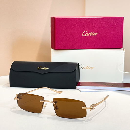 Cartier   CT0505S