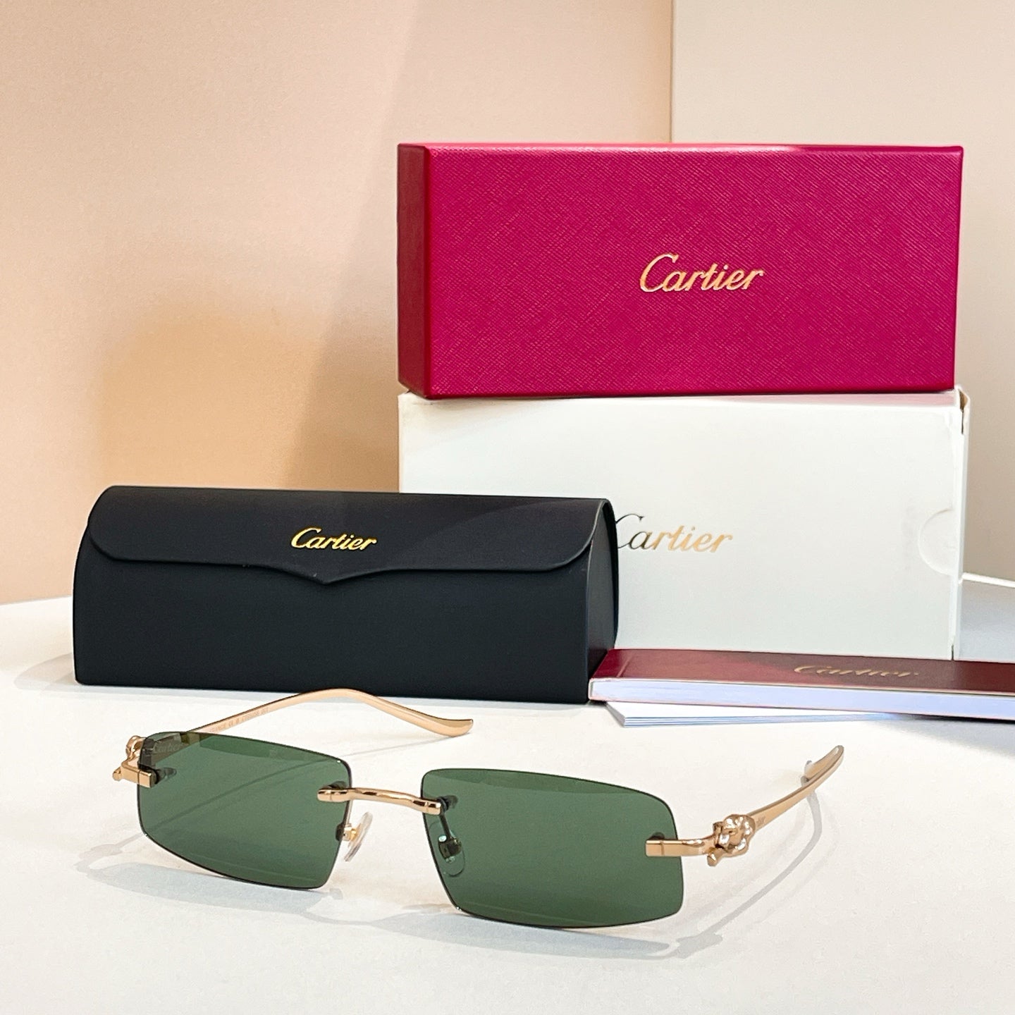 Cartier   CT0505S